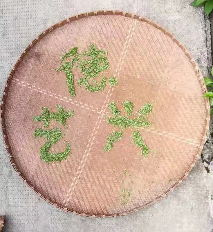 茶品展示