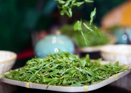 春茶剪去的综合特性